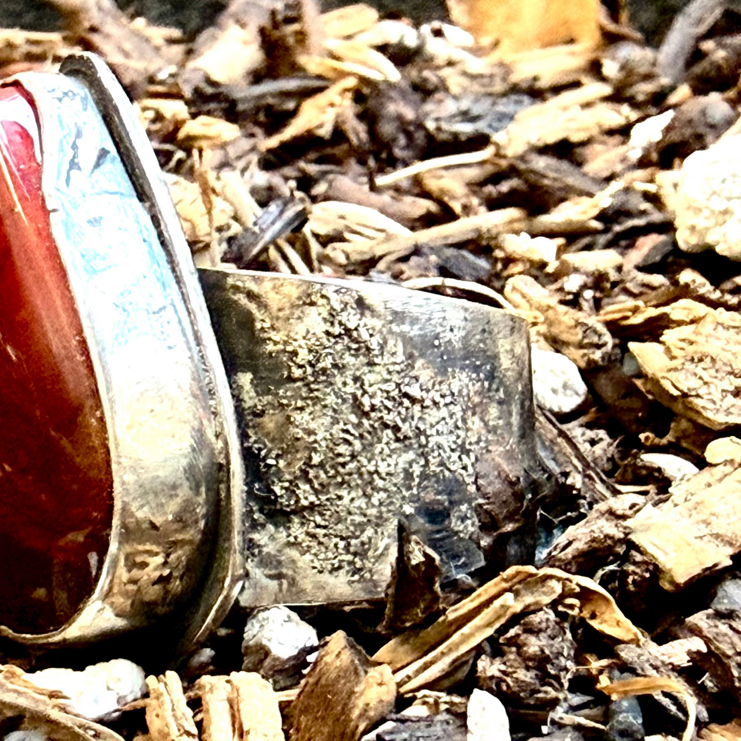 A rustic silver ring featuring a large, polished red cabochon gemstone, resting on a bed of wood chips and bark.